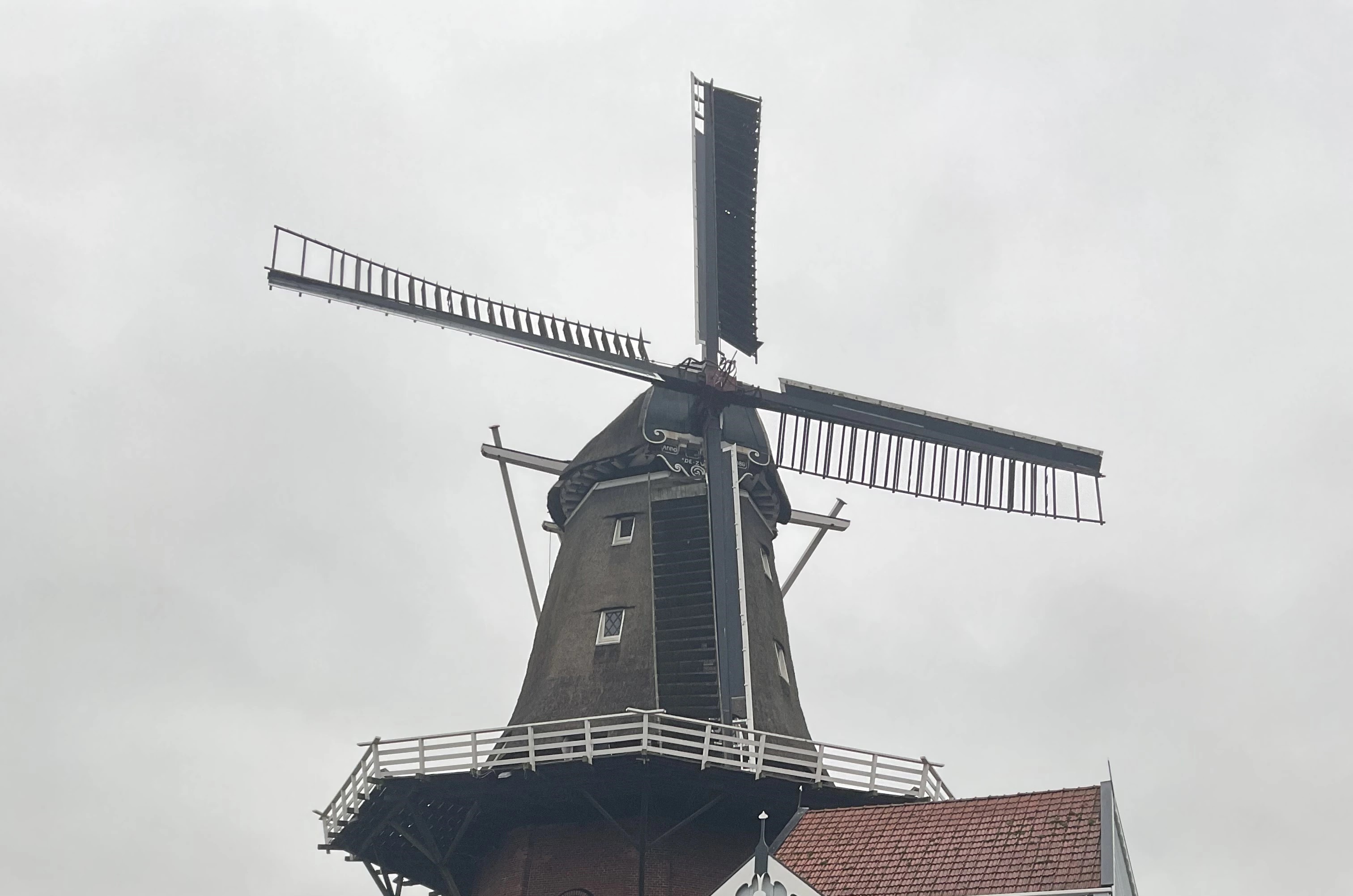 image_671680012.JPG